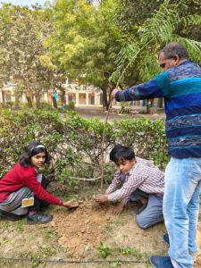 500 Saplings, One Vision: Green Pathways Trust Leads Plantation Drive at MCD School, Nasirpur