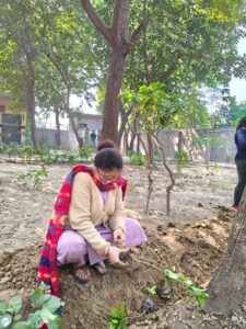 whatsapp image 2025 11 15 at 23.04.20