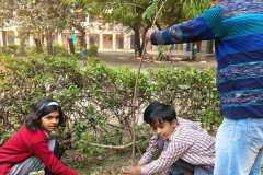 500 Saplings, One Vision: Green Pathways Trust Leads Plantation Drive at MCD School, Nasirpur