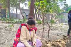 500 Saplings, One Vision: Green Pathways Trust Leads Plantation Drive at MCD School, Nasirpur