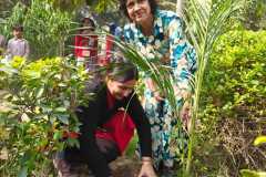 500 Saplings, One Vision: Green Pathways Trust Leads Plantation Drive at MCD School, Nasirpur
